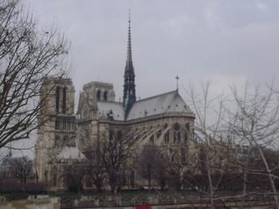 Notre Dame, with Trees