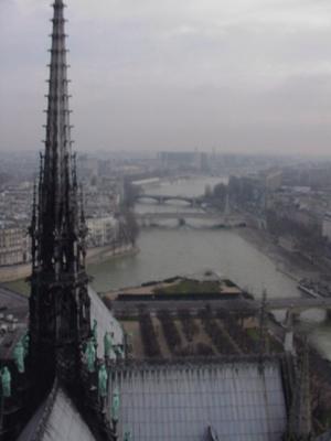 Notre Dame - Spire from Above