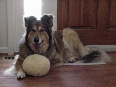 Maggie with Fuzzy Ball