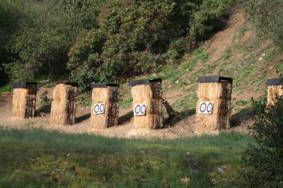 The Gang of Six Archery Targets