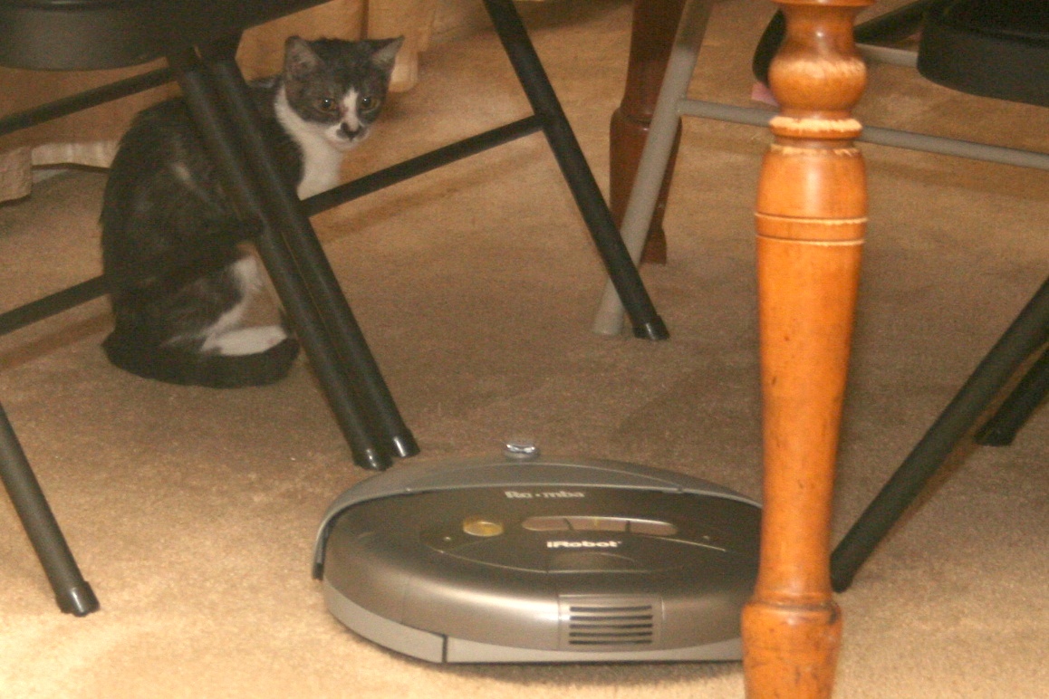 Tony and Roomba
